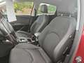 SEAT Leon FR, HU/AU & KD Neu Rouge - thumbnail 8