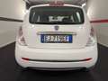 Lancia Ypsilon 1.2 69 CV Platinum Bianco - thumbnail 5