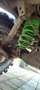 Toyota Land Cruiser TD KZJ90 3.0 autocarro - thumbnail 14