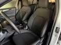 Ford Focus 1.5 EcoBlue 115 CV automatico 5p. ST-Line Argent - thumbnail 20