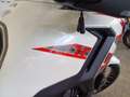 Zontes ZONTES 703 F ADVENTURE Bianco - thumbnail 15