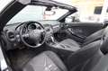 Mercedes-Benz SLK 350 *NAVI*LEDER*SHZ*MFL*PDC*EL-SITZE*BC* Silber - thumbnail 9