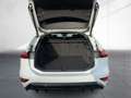 Audi performance Pano B&O Tech plus Weiß - thumbnail 12