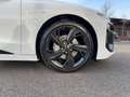 Audi performance Pano B&O Tech plus Weiß - thumbnail 13
