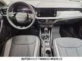 Skoda Kamiq 1.0 TSI DSG Ambition KAMERA SHZ SPURHALTE Grau - thumbnail 9