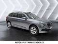 Skoda Kamiq 1.0 TSI DSG Ambition KAMERA SHZ SPURHALTE Grau - thumbnail 6