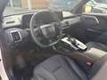 Toyota Urban Cruiser Urban Cruiser BEV 4x4 Lounge 135 kW Weiß - thumbnail 15