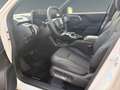 Toyota Urban Cruiser Urban Cruiser BEV 4x4 Lounge 135 kW Weiß - thumbnail 8