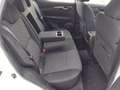 Nissan Qashqai 1.5 dci Acenta 110cv Bianco - thumbnail 12