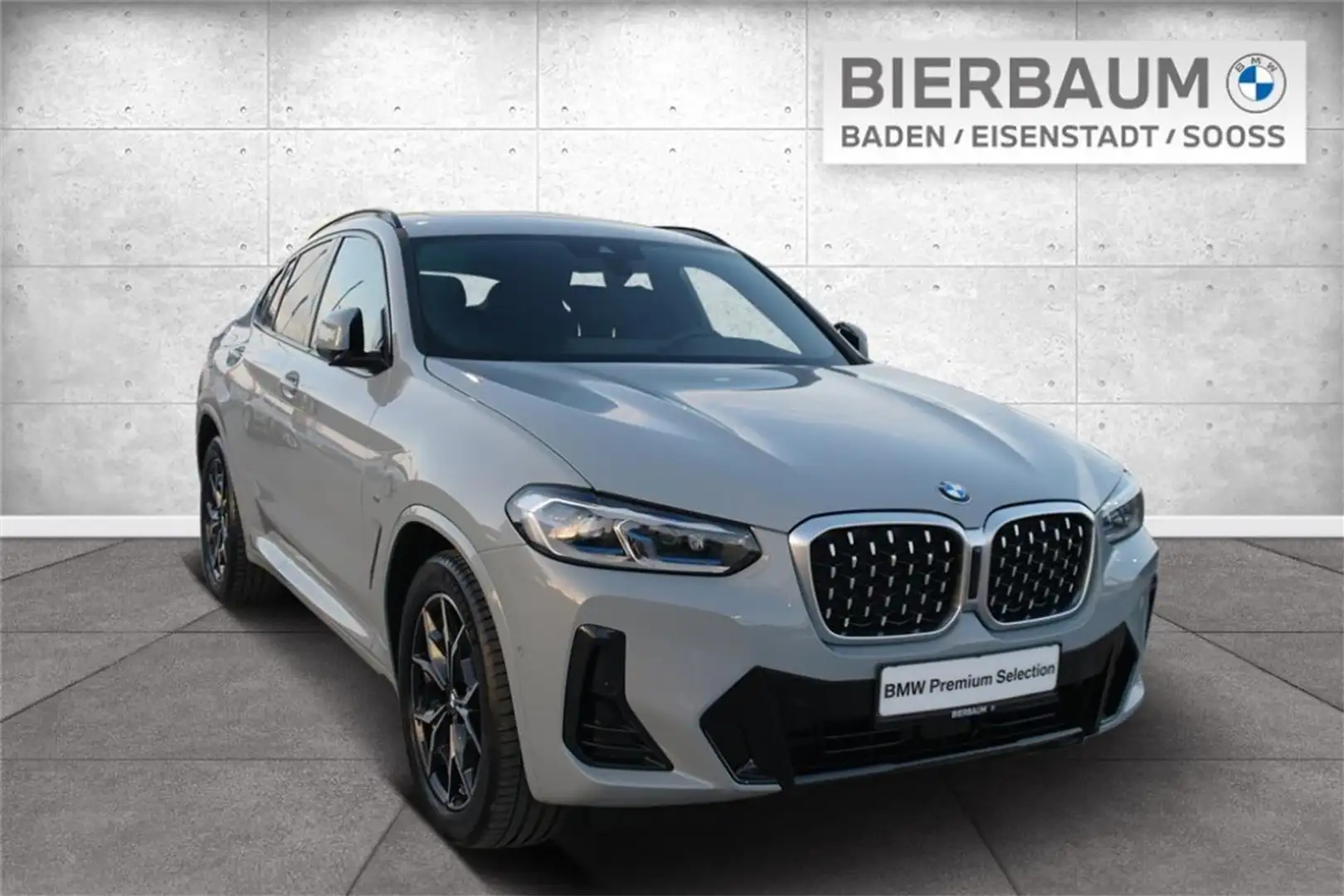 BMW X4 xDrive 20d Gris - 1