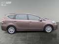 Toyota Prius+ Prius + 1.8 Hybrid 7-Sitze *NAVI*KAMERA*KLIMA* Bronze - thumbnail 7