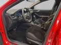 Ford Focus ST*1.Hand*ACC*Pano*Perf.-Pkt. Rosso - thumbnail 6