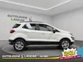 Ford EcoSport 1.5 tdci Business awd 125cv 4x4 E6 Bianco - thumbnail 8