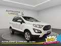 Ford EcoSport 1.5 tdci Business awd 125cv 4x4 E6 Bianco - thumbnail 1