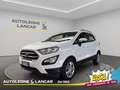 Ford EcoSport 1.5 tdci Business awd 125cv 4x4 E6 Bianco - thumbnail 3