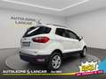 Ford EcoSport 1.5 tdci Business awd 125cv 4x4 E6 Bianco - thumbnail 7