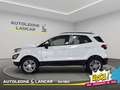 Ford EcoSport 1.5 tdci Business awd 125cv 4x4 E6 Bianco - thumbnail 4