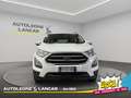 Ford EcoSport 1.5 tdci Business awd 125cv 4x4 E6 Bianco - thumbnail 2