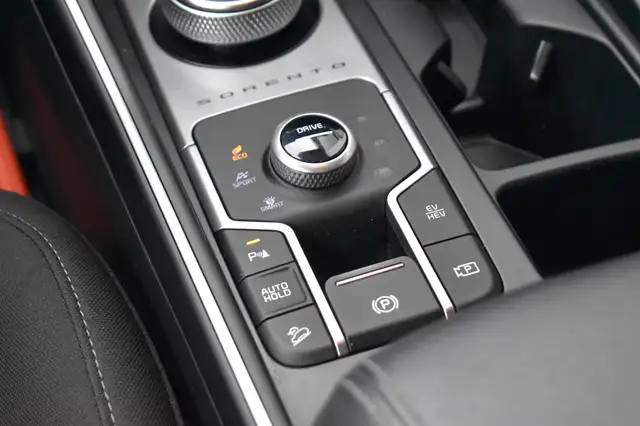 Kia Sorento view 21