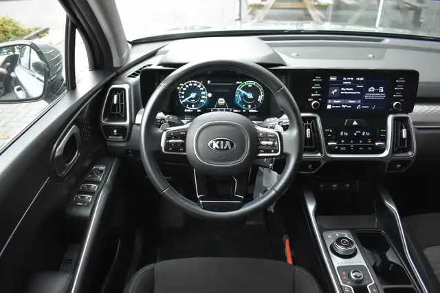 Kia Sorento view 17