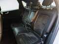 Ford Kuga Kuga 1.5 ecoblue ST-Line X 2wd 120cv auto Blanc - thumbnail 13