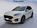 Ford Kuga Kuga 1.5 ecoblue ST-Line X 2wd 120cv auto Blanc - thumbnail 1