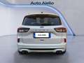 Ford Kuga Kuga 1.5 ecoblue ST-Line X 2wd 120cv auto Blanc - thumbnail 4