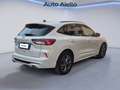 Ford Kuga Kuga 1.5 ecoblue ST-Line X 2wd 120cv auto Blanc - thumbnail 5