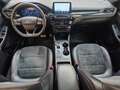 Ford Kuga Kuga 1.5 ecoblue ST-Line X 2wd 120cv auto Blanc - thumbnail 10
