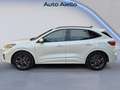 Ford Kuga Kuga 1.5 ecoblue ST-Line X 2wd 120cv auto Blanc - thumbnail 2