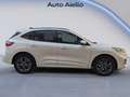 Ford Kuga Kuga 1.5 ecoblue ST-Line X 2wd 120cv auto Blanc - thumbnail 6