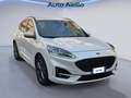 Ford Kuga Kuga 1.5 ecoblue ST-Line X 2wd 120cv auto Blanc - thumbnail 7