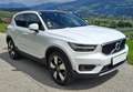 Volvo XC40 XC40 D3 Momentum Pro Geartronic,Pano,Harman Ka,ACC Weiß - thumbnail 1