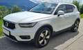 Volvo XC40 XC40 D3 Momentum Pro Geartronic,Pano,Harman Ka,ACC Weiß - thumbnail 6