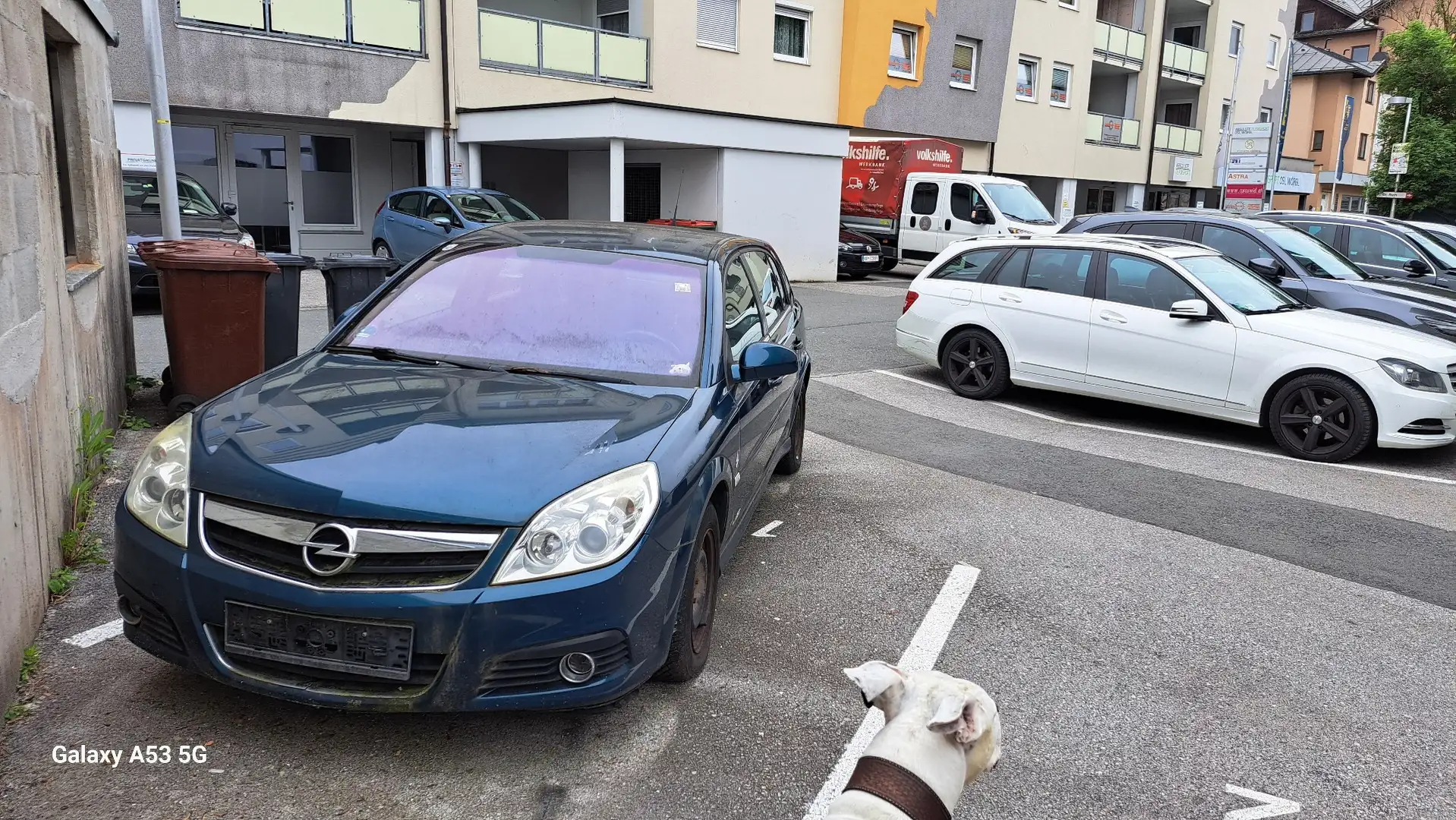 Opel Signum 1,8 16V Cosmo - 1