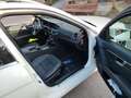 Mercedes-Benz C 300 C 300 T CDI DPF 4Matic  7G-TRONIC Avantgarde Weiß - thumbnail 4