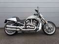 Harley-Davidson Night Rod Gris - thumbnail 3
