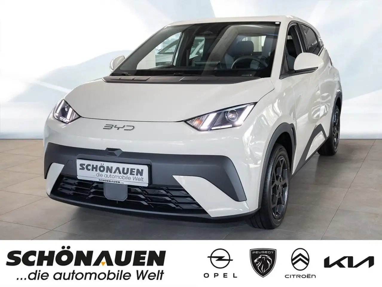BYD Dolphin Surf 2026