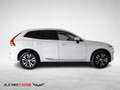 Volvo XC60 Inscription Expression *PANO-360°-LED-DAB+* Weiß - thumbnail 5