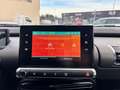 Citroen C4 Cactus PURETECH 110CH S\u0026S FEEL DISTRIBUTION NEUVE Gris - thumbnail 17
