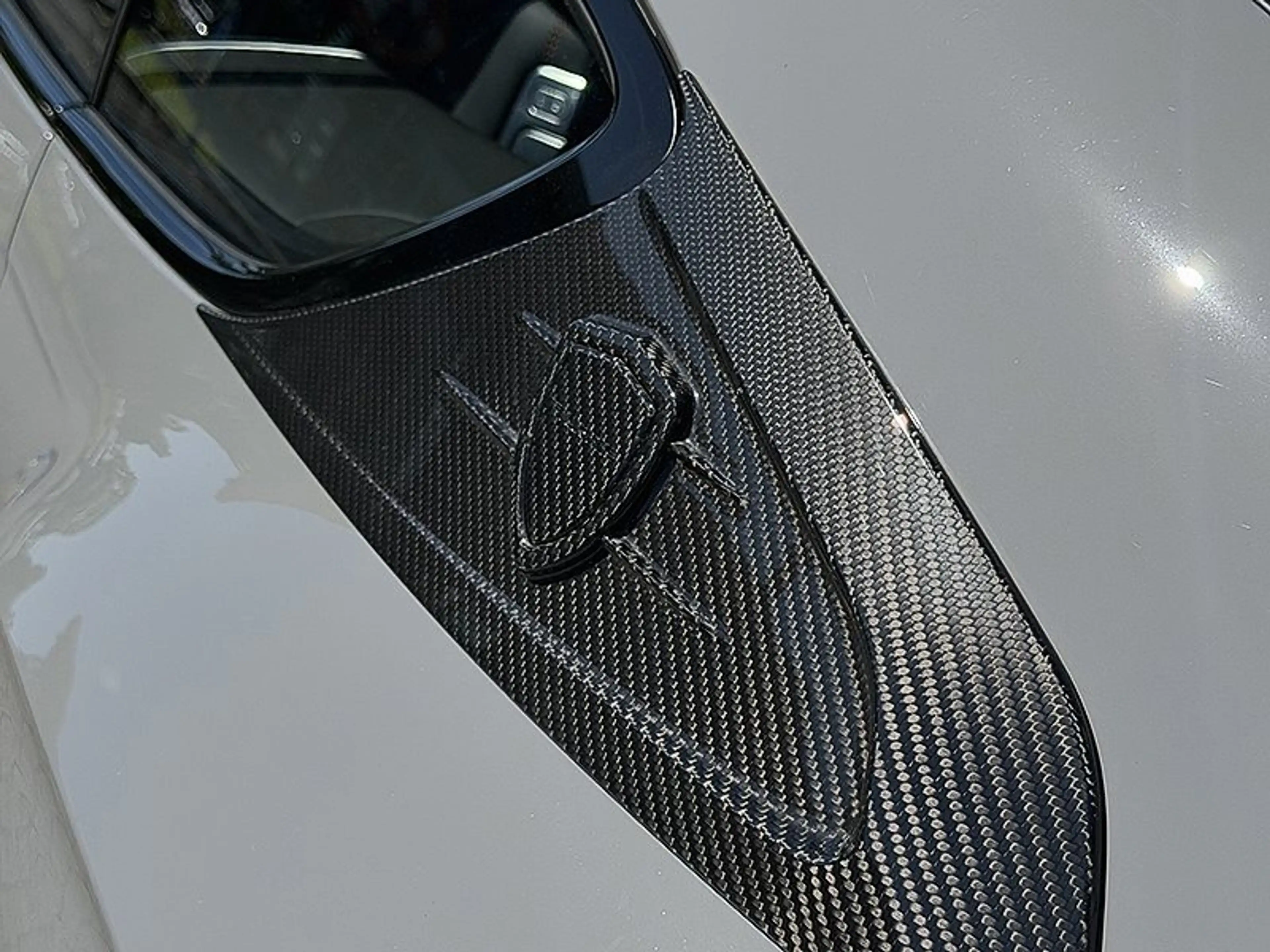 Bentley Continental GT "MANSORY 1of1" - Speed FE — photo 12