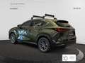 Lexus NX 350h Business City 2WD Zielony - thumbnail 4