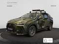 Lexus NX 350h Business City 2WD Verde - thumbnail 2