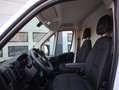 Fiat Ducato 2.2 MultiJet 120pk Euro 6 - L1H1 - New Model - Cam Wit - thumbnail 11