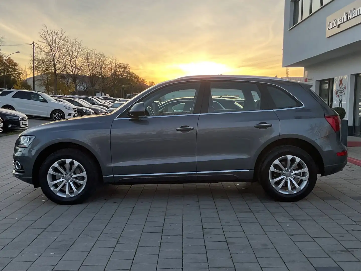 Audi Q5 3.0 TDI quattro S-Tr. Navi Sport Edition Grau - 2