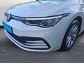 Volkswagen Golf Variant 1.5 eTSI DSG *LIFE* #PANO #AHK #KEY Weiß - thumbnail 13