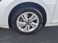 Volkswagen Golf Variant 1.5 eTSI DSG *LIFE* #PANO #AHK #KEY Weiß - thumbnail 12