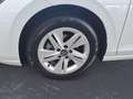 Volkswagen Golf Variant 1.5 eTSI DSG *LIFE* #PANO #AHK #KEY Weiß - thumbnail 12