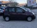 Fiat New Panda lounge Roşu - thumbnail 15
