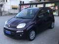 Fiat New Panda lounge Roşu - thumbnail 2